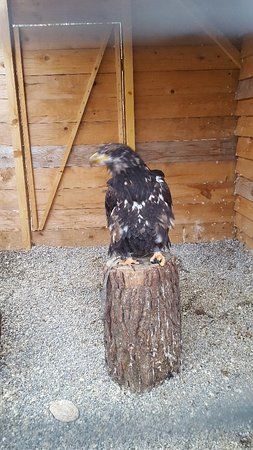 Parc Animalier Domestique